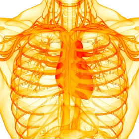 Cardiac Arrhythmia