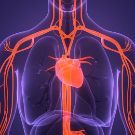 Heart Rhythm Disorder