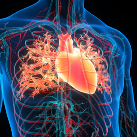 Heart Rhythm Disturbance